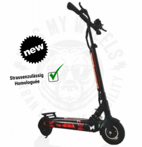 ELEKTRO SCOOTER futecher