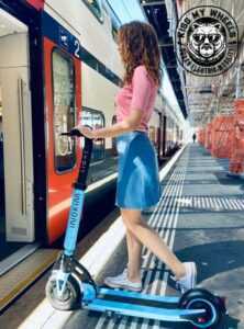 elektro scooter schweiz