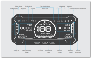 ey4 display DUALTRON