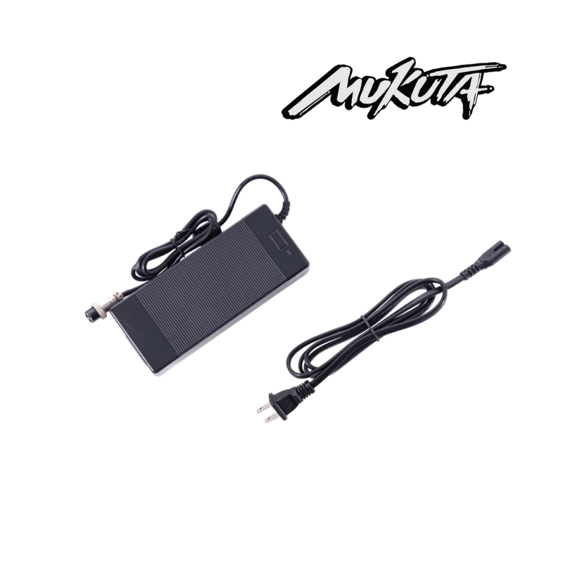 Chargeur 60V pour MUKUTA 10+