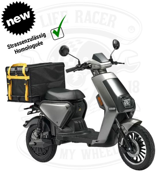 FernFlitzer 25km/h Swiss Edition