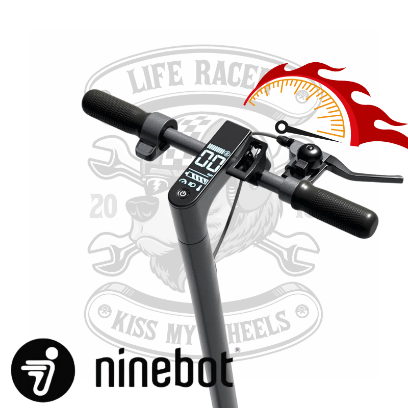 Module de d&eacute;bridage Segway Ninebot ZT3 Pro